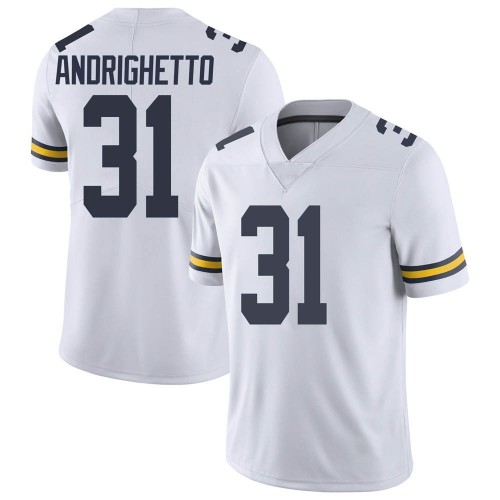 Lucas Andrighetto Michigan Wolverines Men's NCAA #31 White Limited Brand Jordan College Stitched Football Jersey CDY5754YH